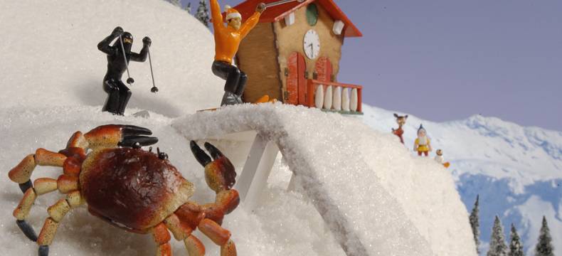 La T&ecirc;te dans les flocons